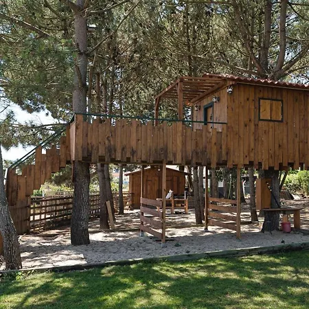 Pinhal Da Colmeia - Pool, Tree House And Games Dom wakacyjny Silveira (Lisbon)