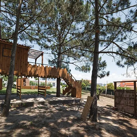 Pinhal Da Colmeia - Pool, Tree House And Games